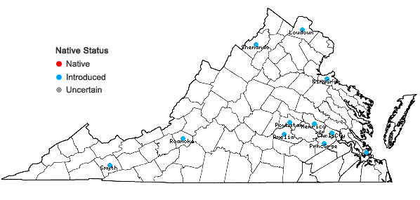 Locations ofMalva sylvestris L. in Virginia