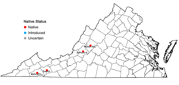 Locations ofMarchantia quadrata Scop. in Virginia
