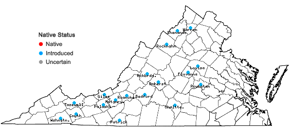 Locations ofMarrubium vulgare L. in Virginia