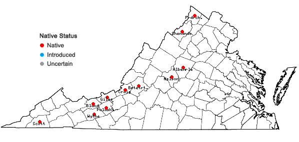 Locations ofMarsupella sphacelata (Giesecke ex Lindenb.) Dumort. in Virginia