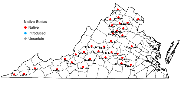 Locations ofMatelea obliqua (Jacq.) Woods. in Virginia