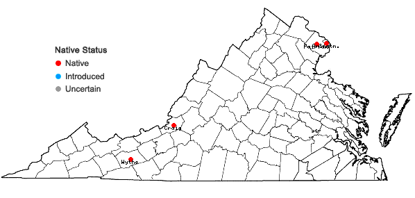 Locations ofMatteuccia struthiopteris (L.) Todaro var. pensylvanica (Willd.) C.V. Morton in Virginia