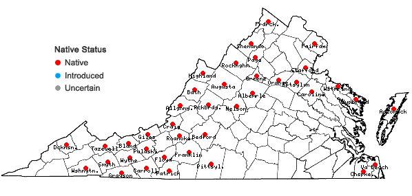 Locations ofMelampyrum lineare Desr. in Virginia