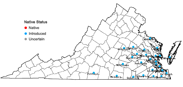 Locations ofMelia azedarach L. in Virginia