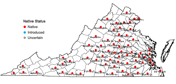 Locations ofMelica mutica Walt. in Virginia
