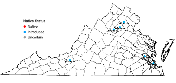 Locations ofMentha aquatica L. in Virginia