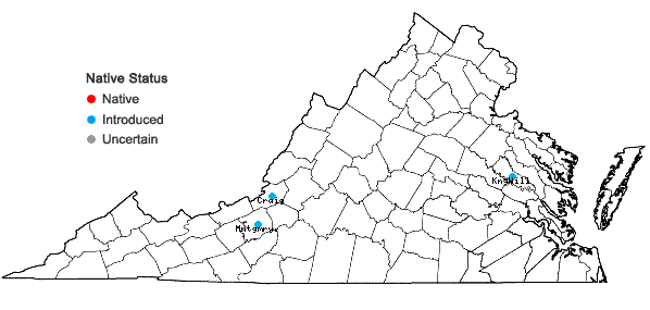 Locations ofMentha longifolia (L.) L. in Virginia