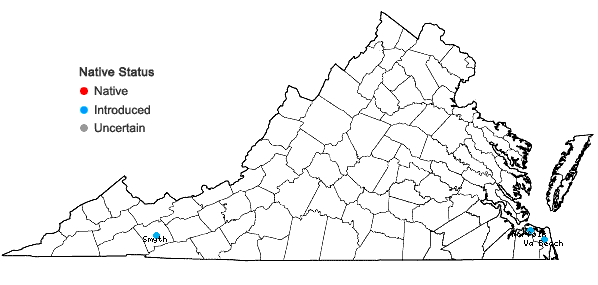 Locations ofMentha suaveolens Ehrh. in Virginia