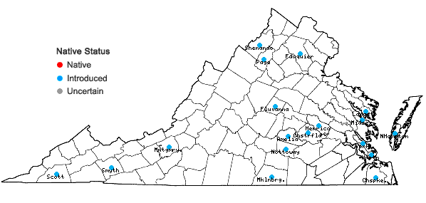 Locations ofMentha ×rotundifolia (L.) Huds. in Virginia