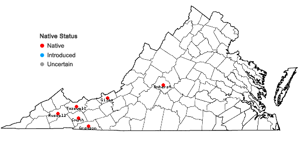 Locations ofMetzgeria consanguinea Schiffn. in Virginia