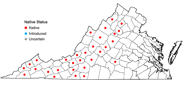 Locations ofMetzgeria crassipilis (Lindb.) A. Evans in Virginia