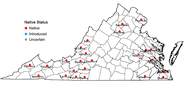 Locations ofMetzgeria furcata (L.) Corda in Virginia