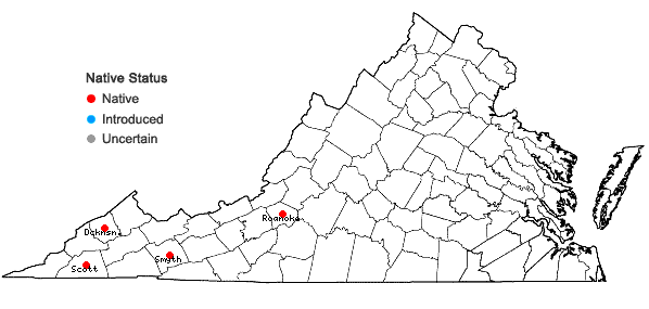 Locations ofMetzgeria leptoneura Spruce in Virginia
