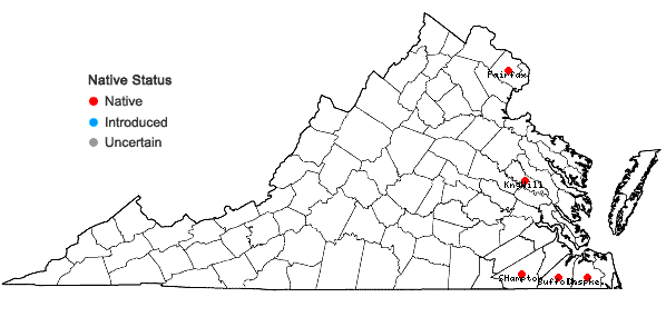 Locations ofMetzgeria myriopoda Lindberg in Virginia