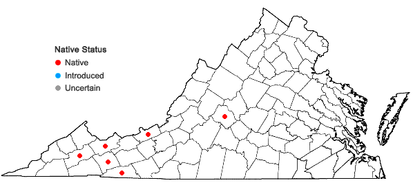 Locations ofMetzgeria temperata Kuwahara in Virginia