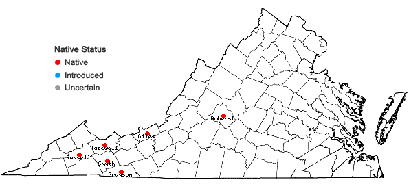 Locations ofMetzgeria temperata Kuwahara in Virginia