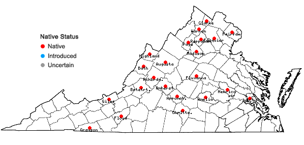 Locations ofMicranthes pensylvanica (L.) Haw. in Virginia