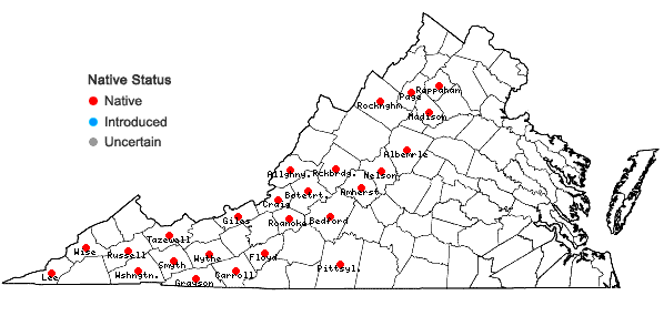 Locations ofMicranthes petiolaris (Raf.) Bush var. petiolaris in Virginia