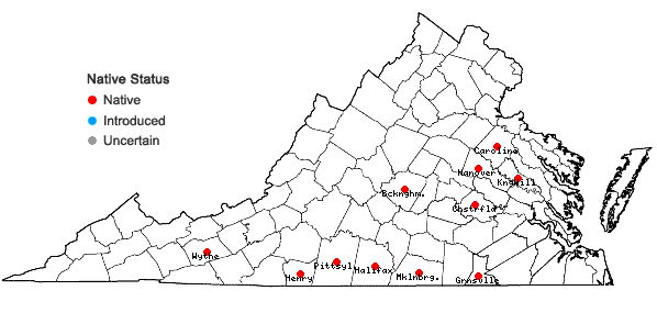 Locations ofMimosa microphylla Dryander in Virginia