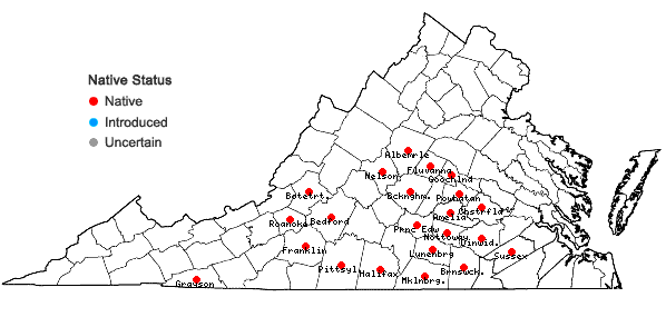 Locations ofMinuartia glabra (Michx.) Mattf. . in Virginia