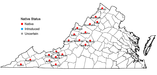 Locations ofMinuartia michauxii (Fenzl) Farwell var. michauxii in Virginia