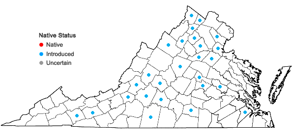 Locations ofMirabilis nyctaginea (Michx.) MacM. in Virginia