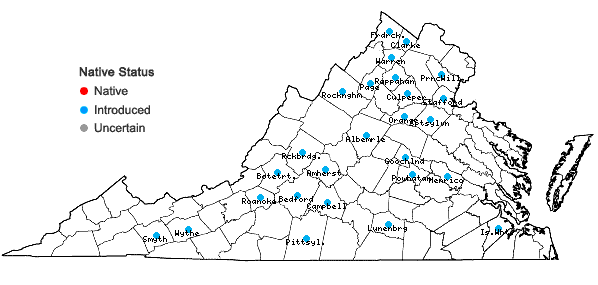 Locations ofMirabilis nyctaginea (Michx.) MacM. in Virginia