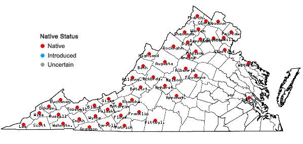 Locations ofMitella diphylla L. in Virginia