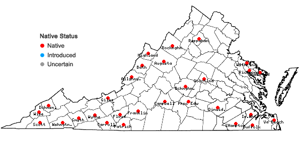 Locations ofMnium hornum Hedwig in Virginia