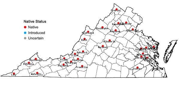 Locations ofMnium marginatum (Dicks. ex With.) P. Beauv. in Virginia