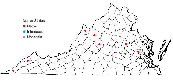 Locations ofMnium thomsonii Schimp. in Virginia