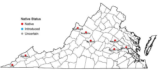 Locations ofMnium thomsonii Schimp. in Virginia