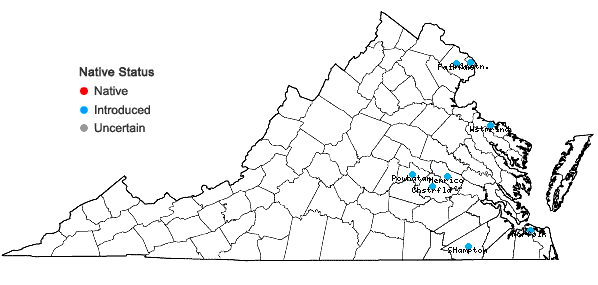 Locations ofMoeroris tenella (Roxburgh) R.W. Bouman in Virginia