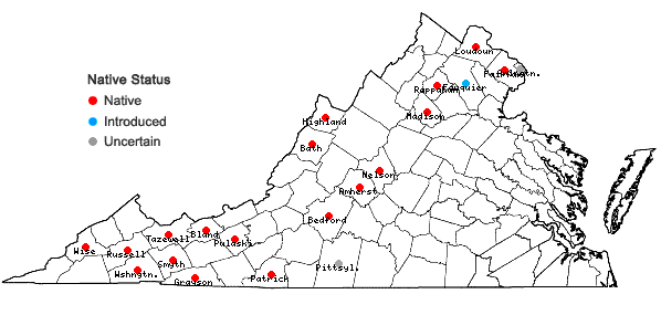 Locations ofMonarda didyma L. in Virginia