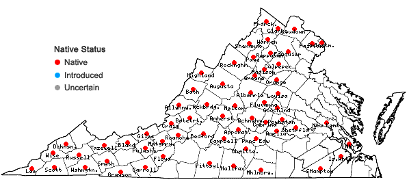Locations ofMonarda fistulosa L. in Virginia