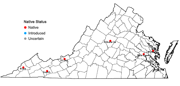 Locations ofMonarda media Willd. complex in Virginia
