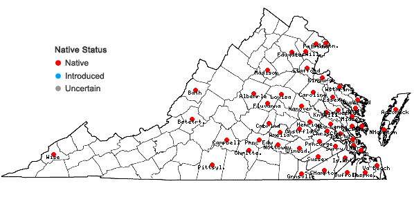 Locations ofMonarda punctata L. var. punctata in Virginia