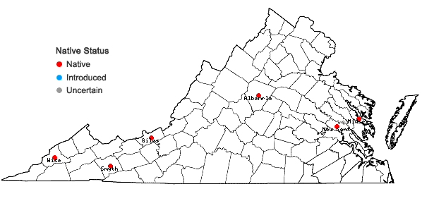 Locations ofMonarda ×media Willd. complex in Virginia