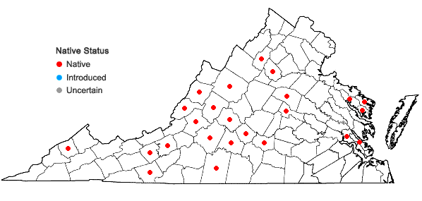 Locations ofMonotropsis odorata Schwein. ex Ell. in Virginia