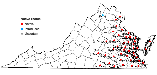 Locations ofMorella cerifera (L.) Small in Virginia