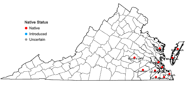 Locations ofMorella pensylvanica (Mirbel) Kartesz in Virginia