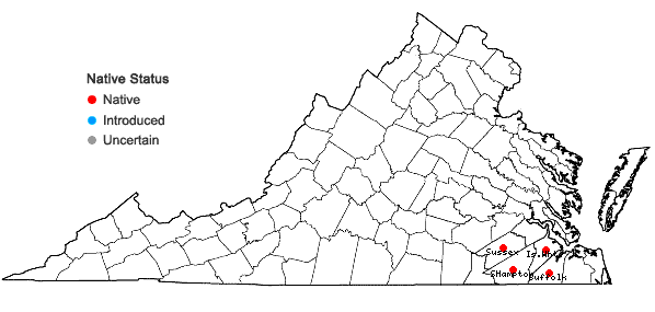 Locations ofMorella pusilla (Raf.) Weakley & D.B.Poind. in Virginia