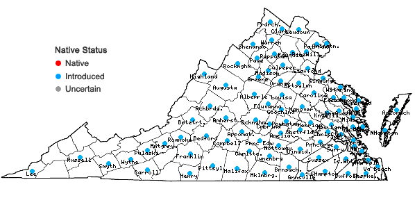 Locations ofMorus alba L. in Virginia