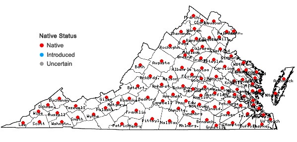 Locations ofMorus rubra L. in Virginia