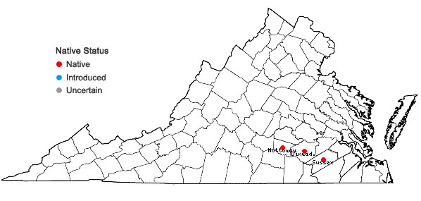 Locations ofMuhlenbergia bushii Pohl in Virginia