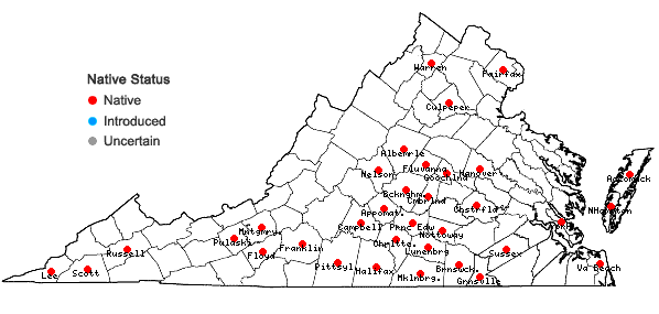 Locations ofMuhlenbergia capillaris (Lam.) Trin. in Virginia