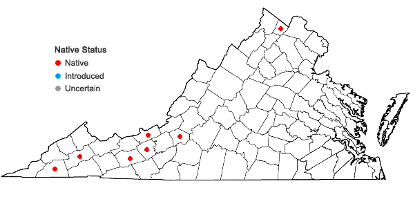 Locations ofMuhlenbergia cuspidata (Torr. ex Hook.) Rydb. in Virginia
