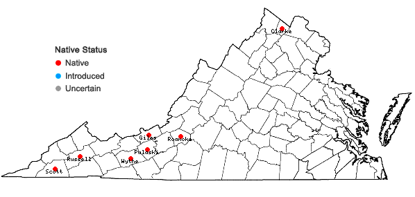 Locations ofMuhlenbergia cuspidata (Torr. ex Hook.) Rydb. in Virginia