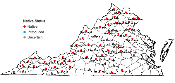 Locations ofMuhlenbergia frondosa (Poir.) Fern. in Virginia