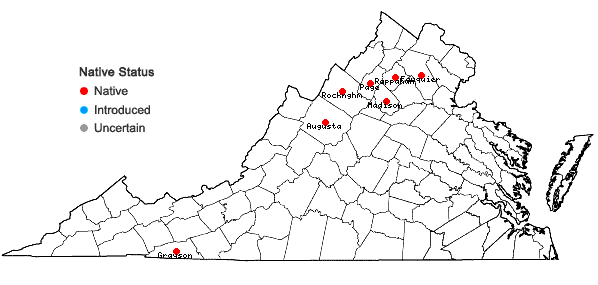 Locations ofMuhlenbergia glomerata (Willd.) Trin. in Virginia